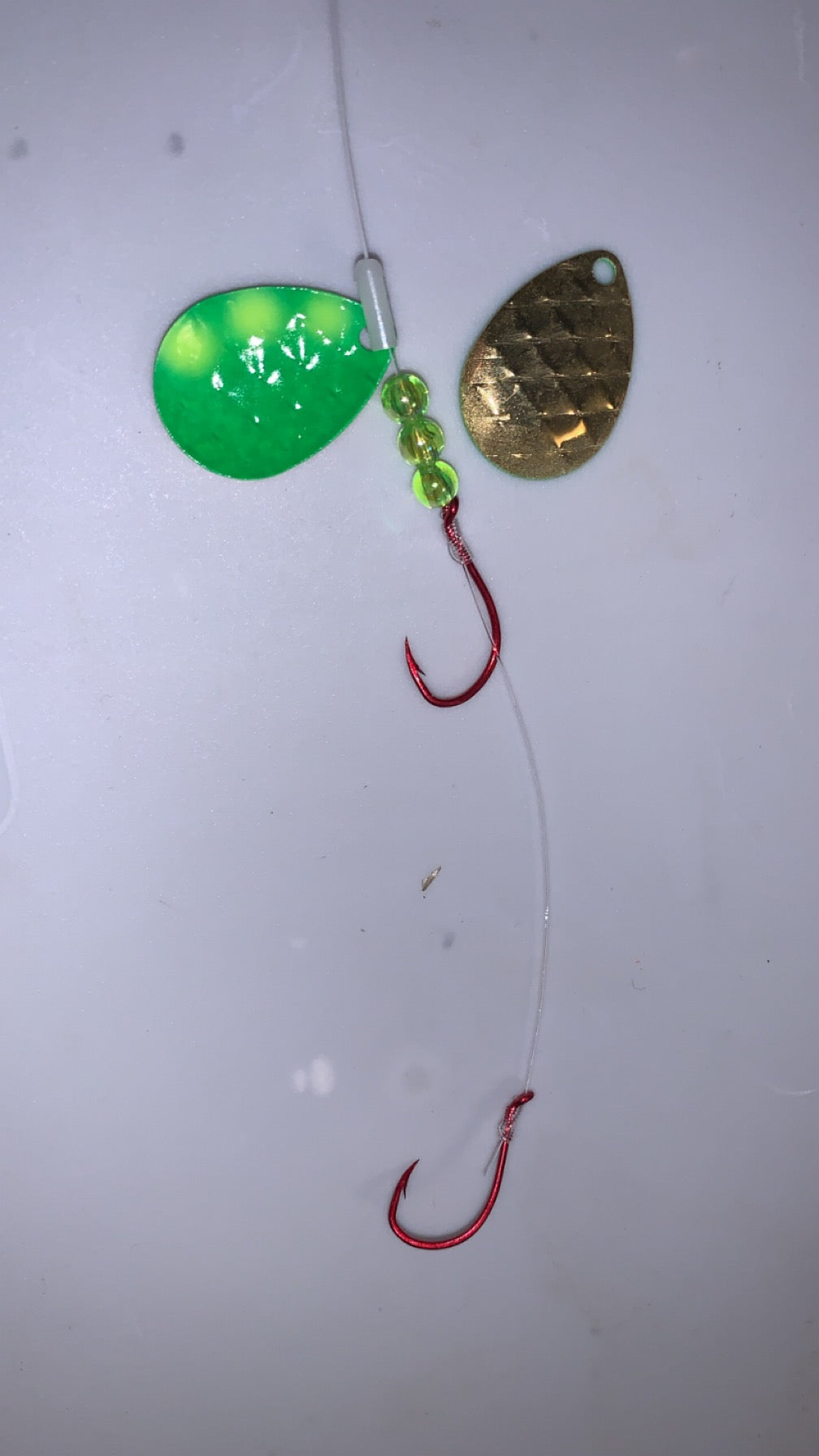 #3 Colorado Painted Back/Green-Yellow