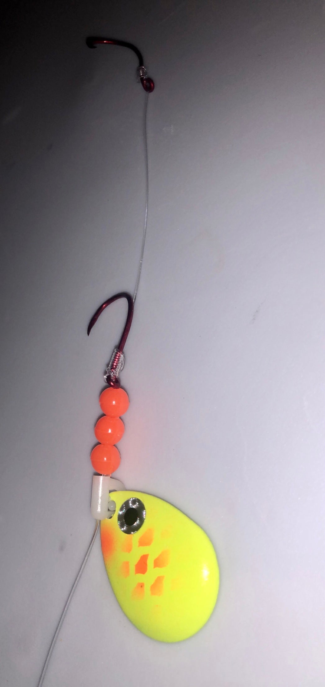 #3 Colorado/Yellow & Orange Eyeball