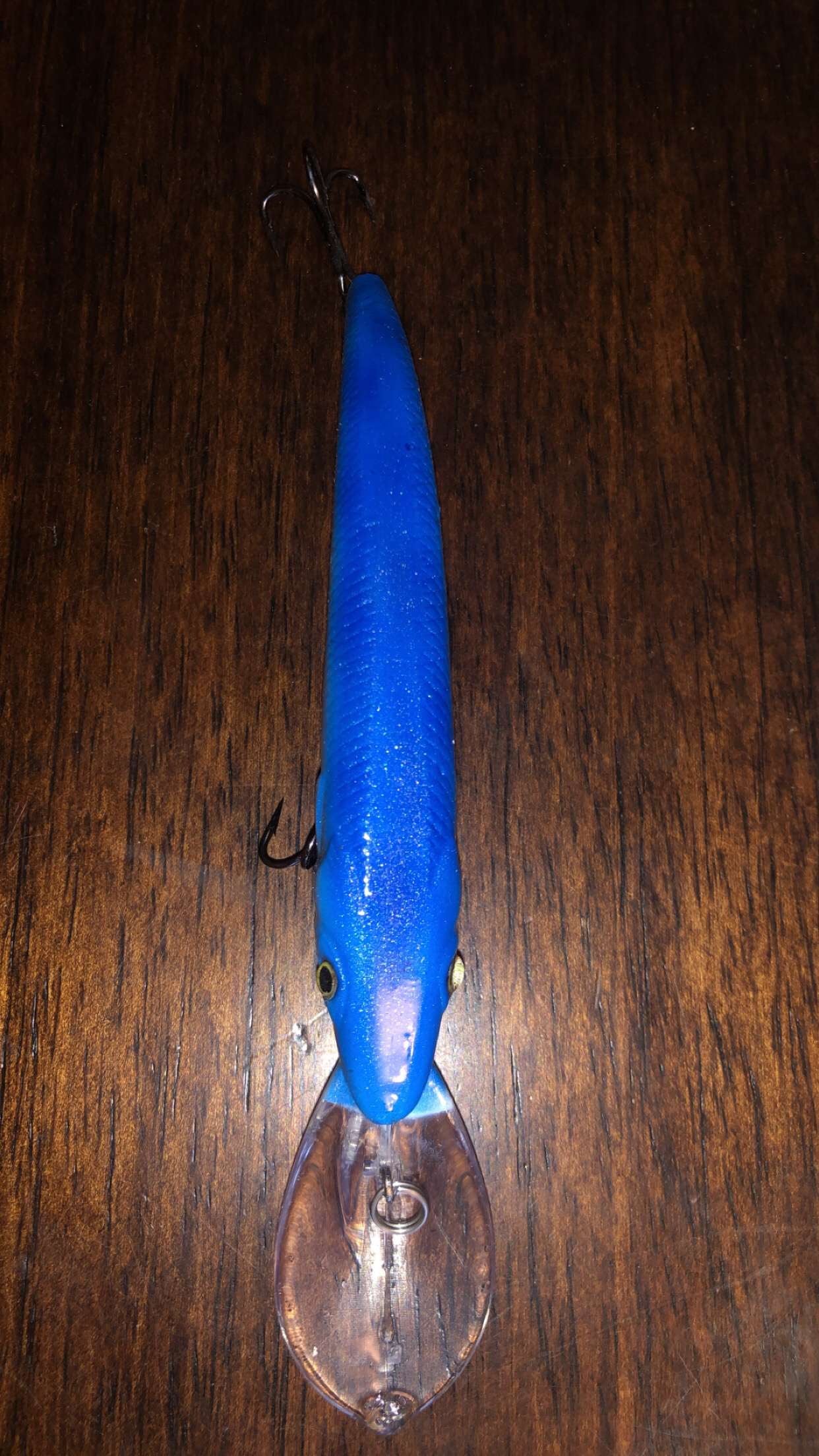 Reef Runner/Blue Shiner