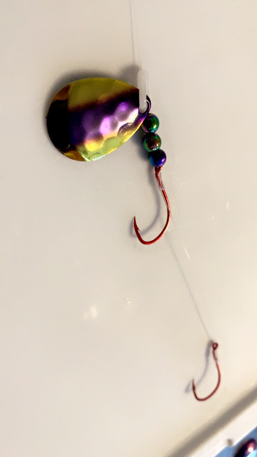 #3 Colorado Custom/Purple Chartruese