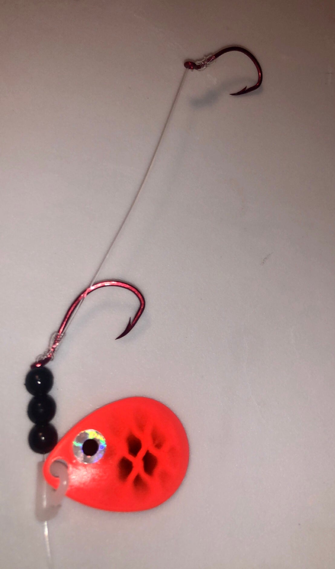 #3 Colorado/Orange Eyeball