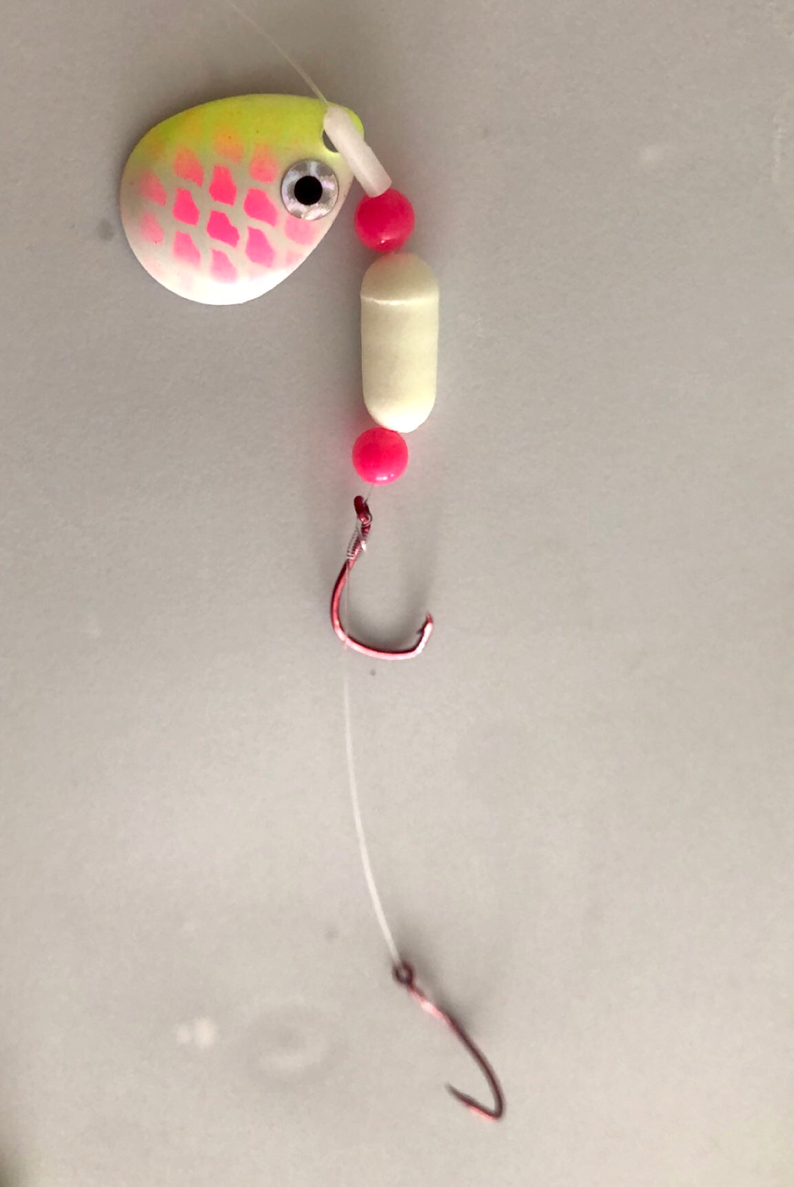 #3 Colorado/Pink Eyeball