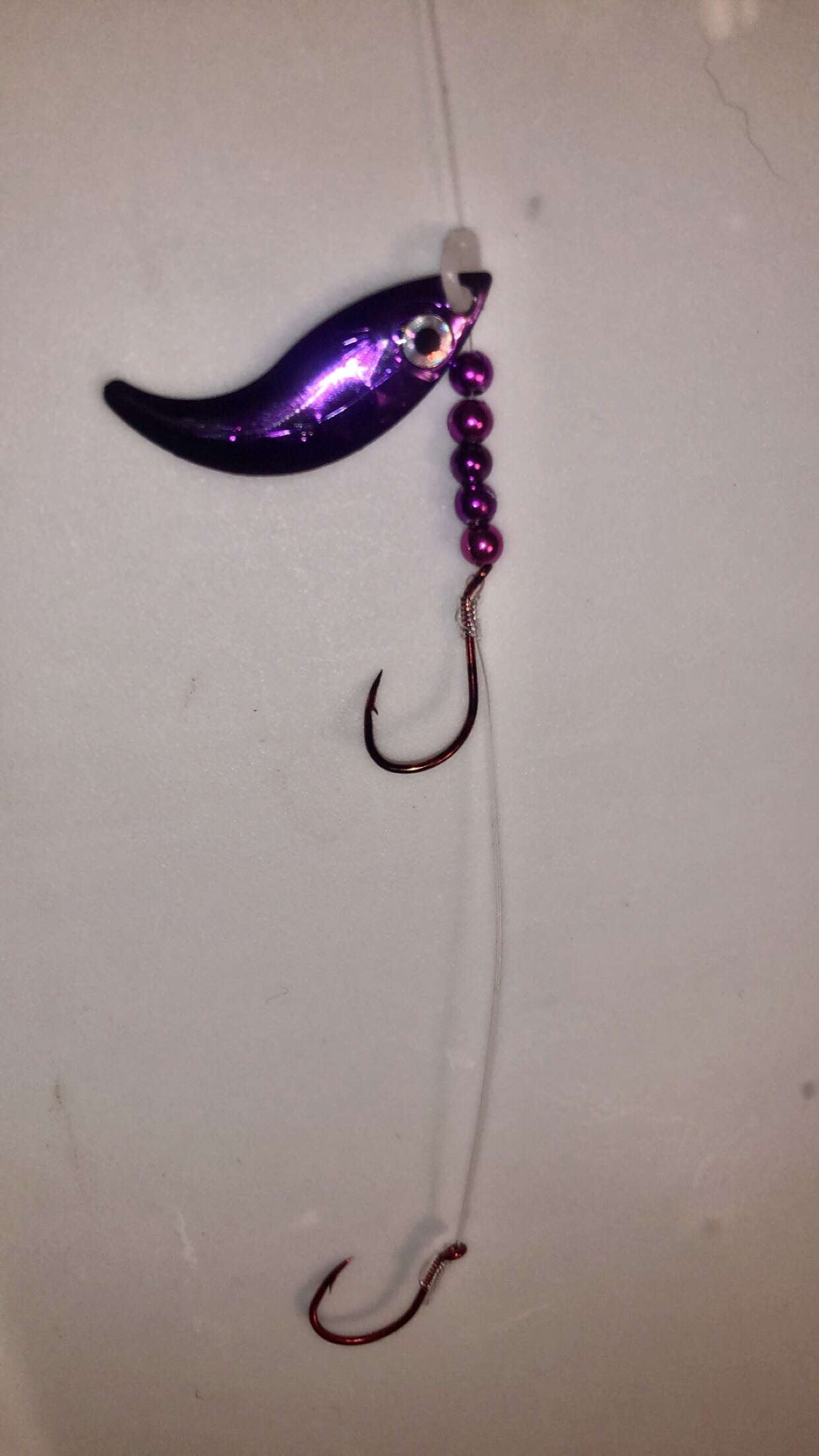 #2 Whiptail/Metallic Purple