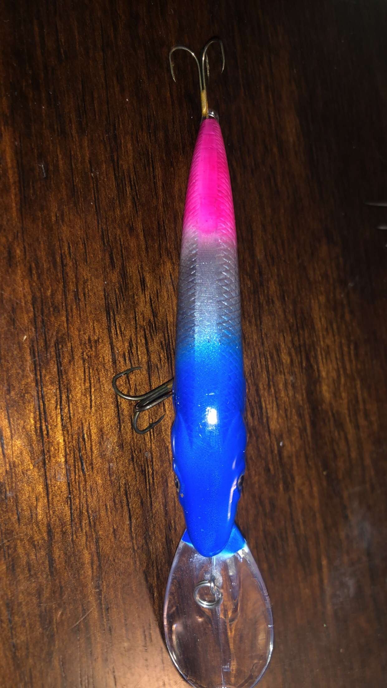 Reef Runner/Bubble Gum