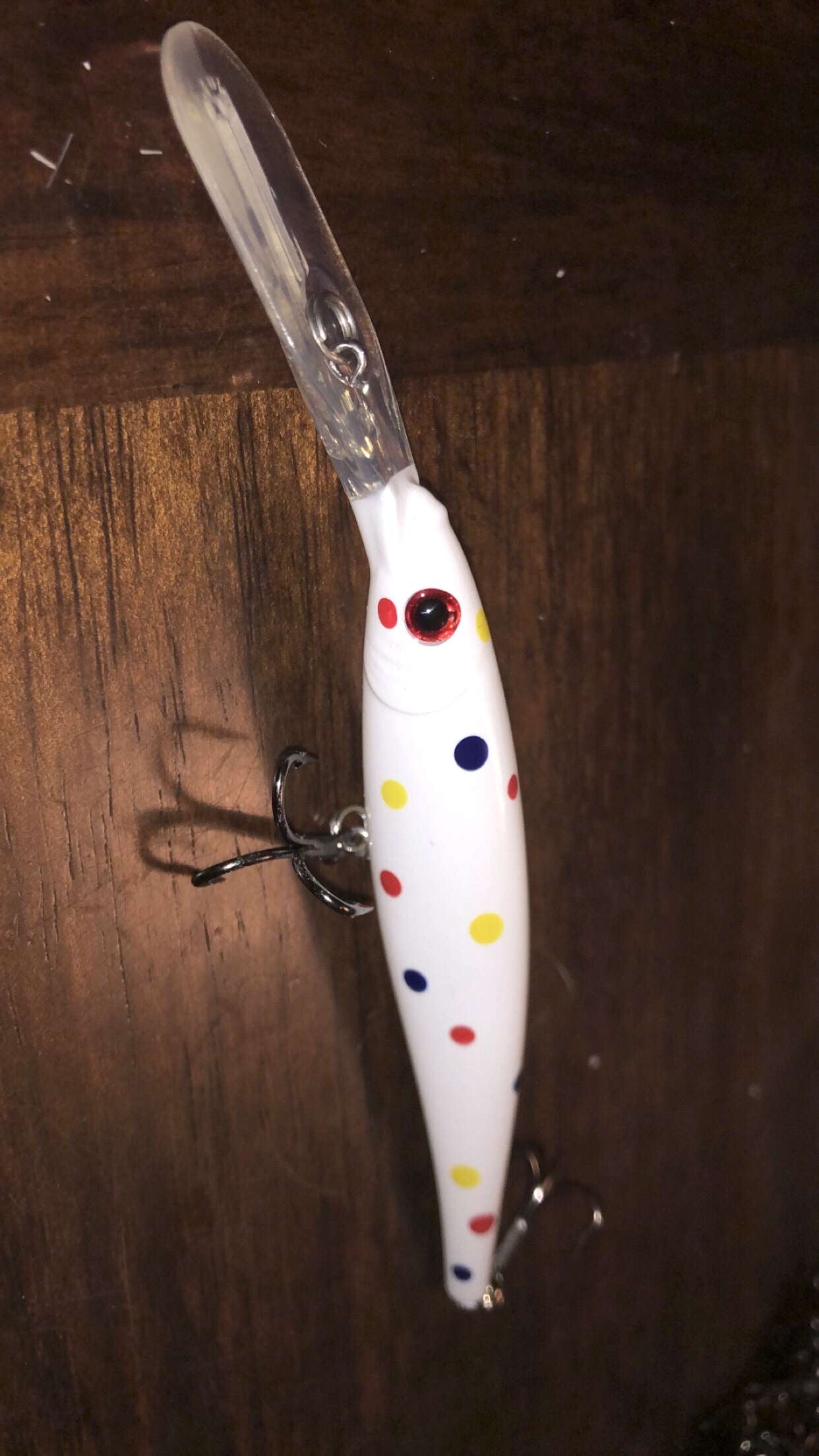 Flicker Minnow #11/Wonderminnow