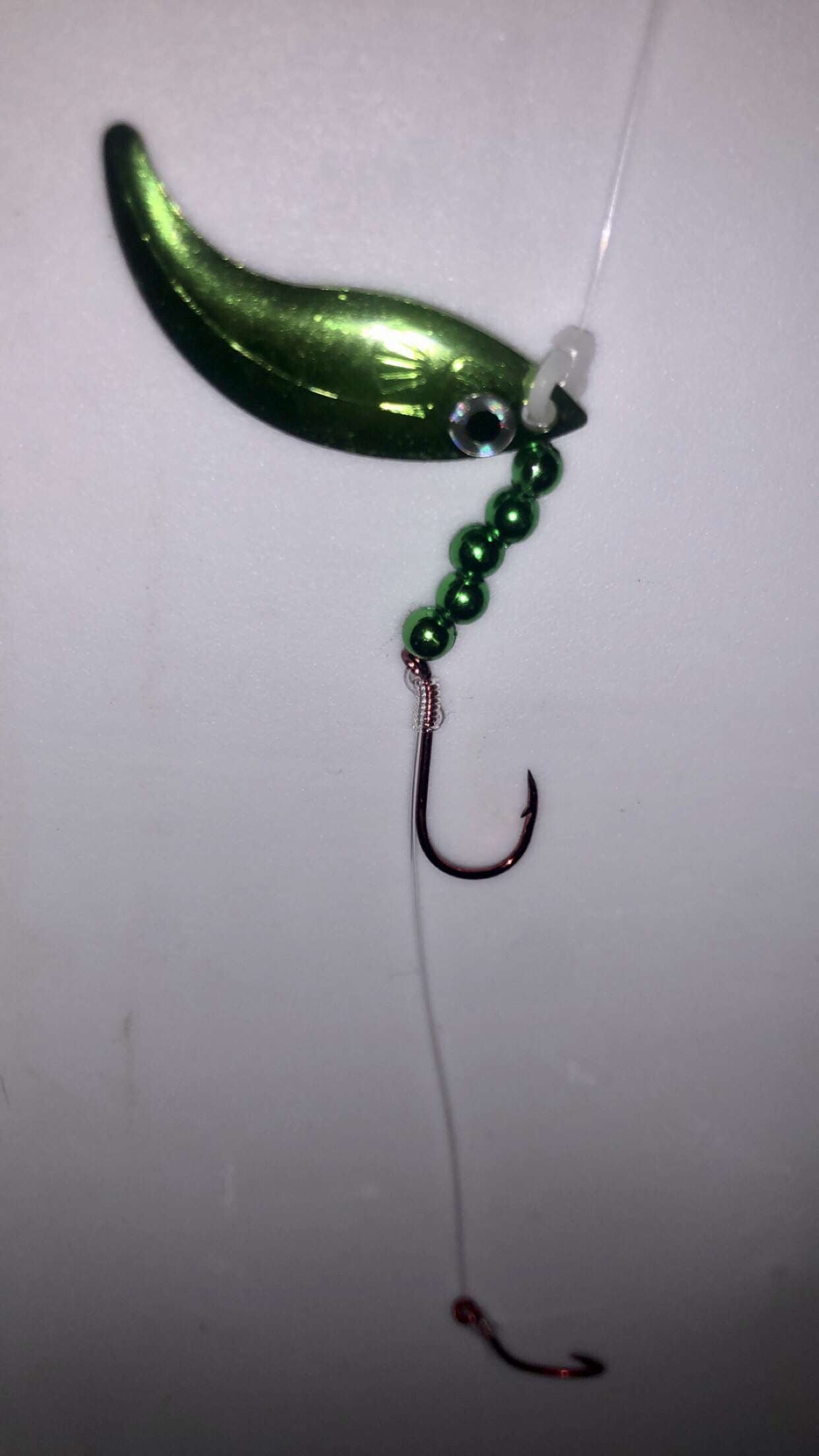 #2 Whiptail/Metallic Green