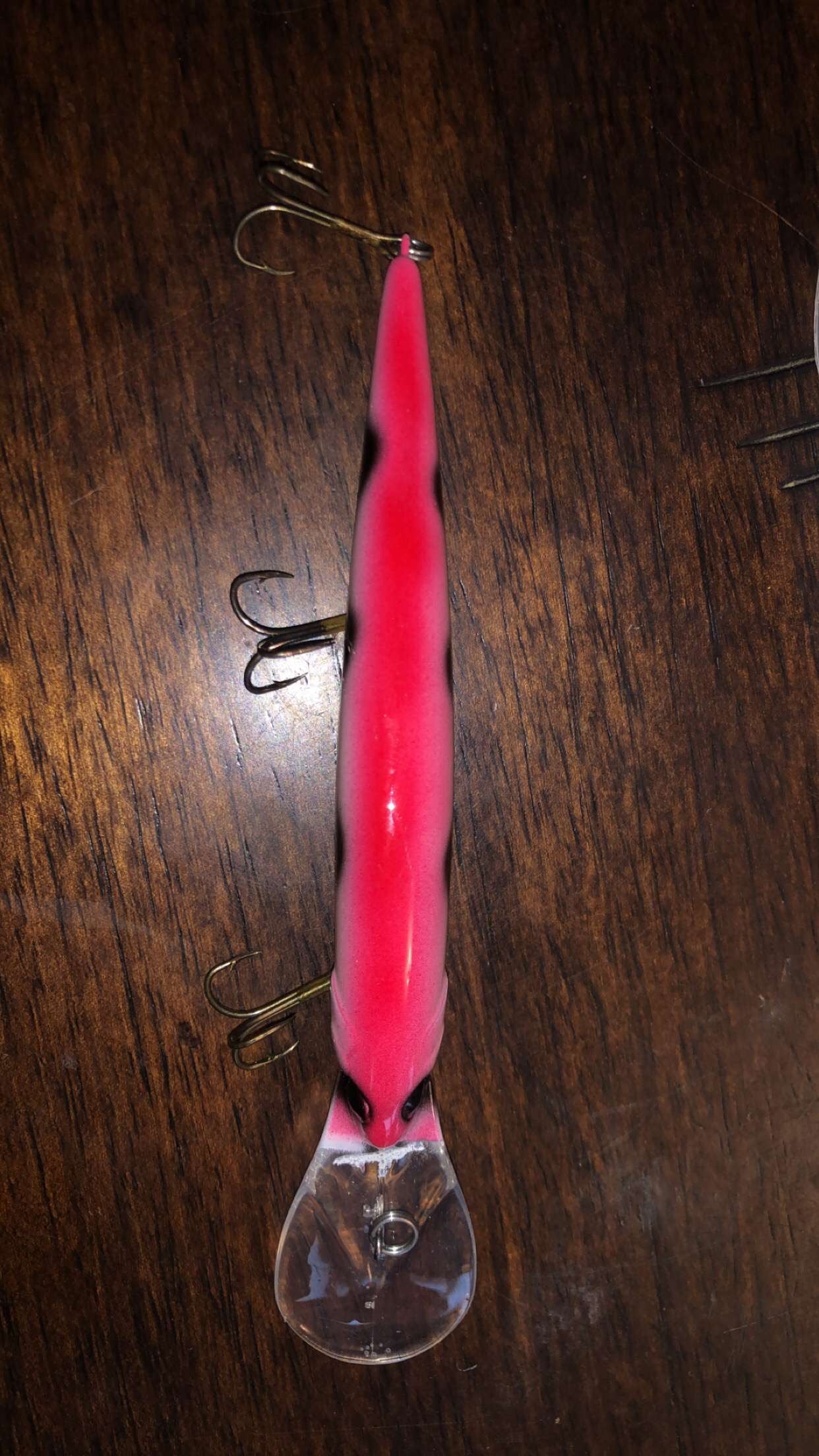 Bandit/Spotted Demon