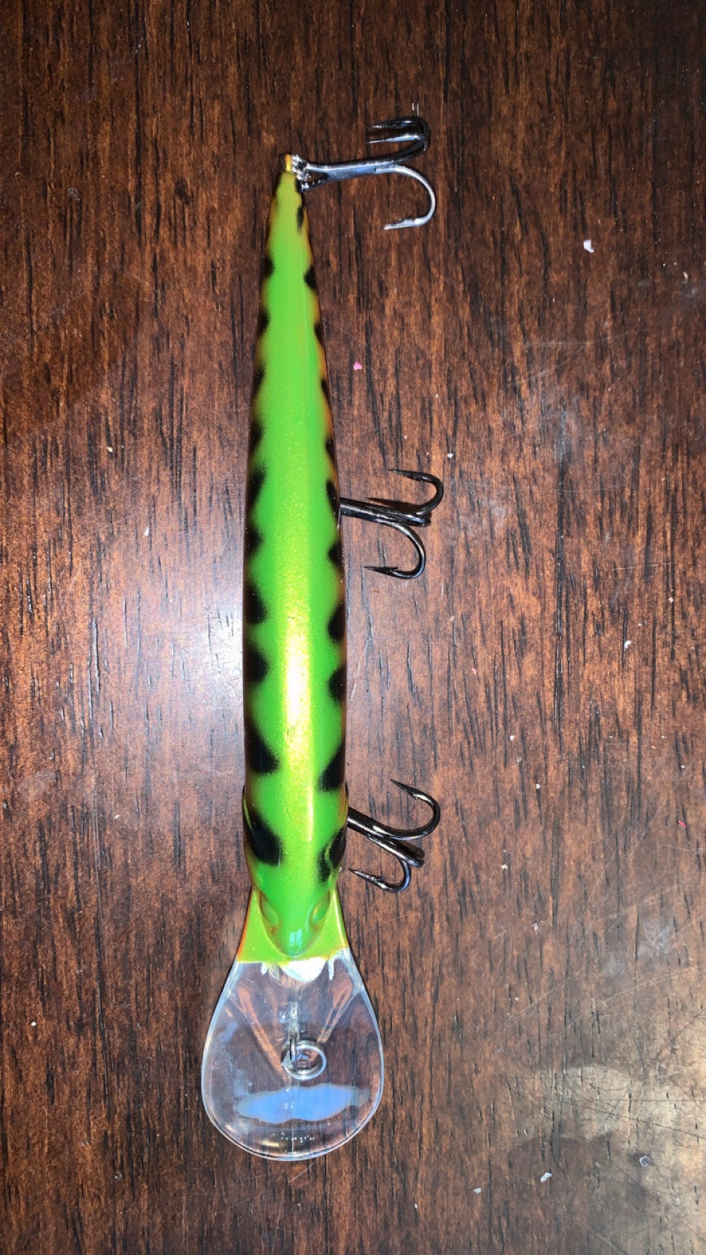 Bandit/Leopard Melon