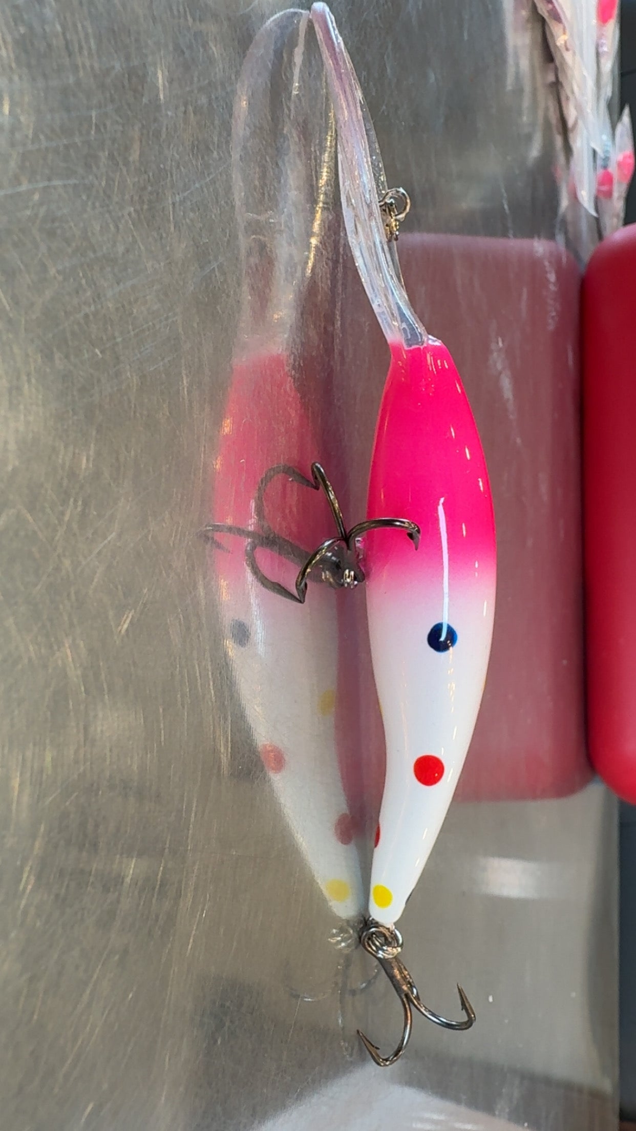 Taildancer/Polka Dot