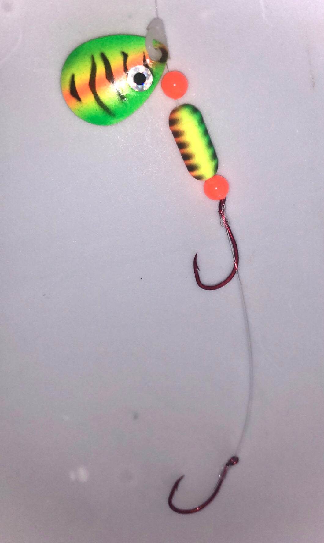 #3 Colorado/Perch Eyeball