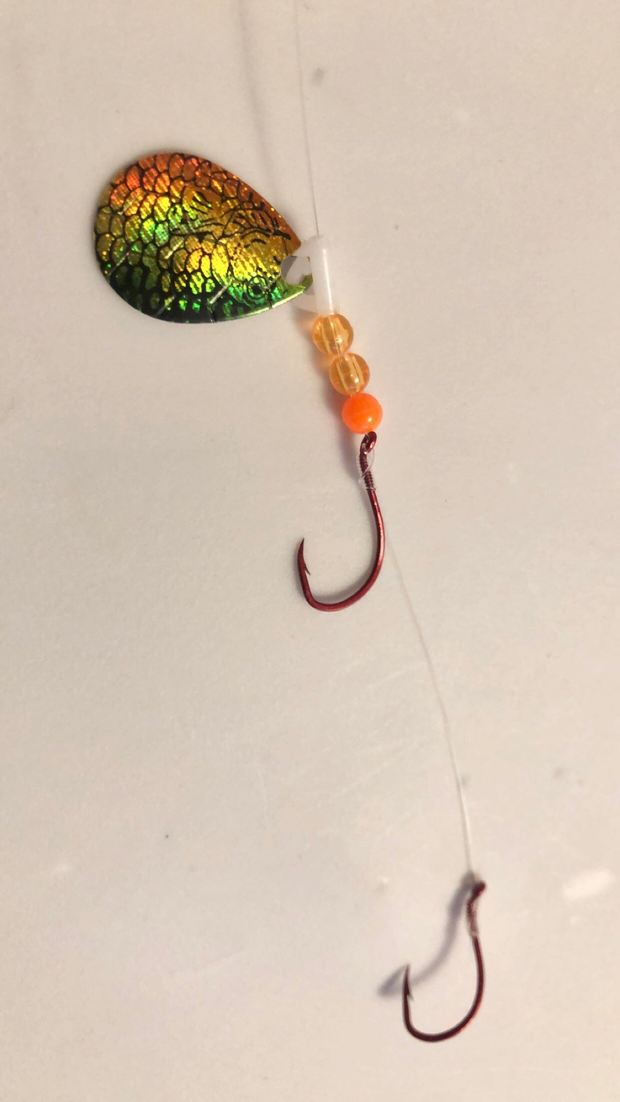 #3 Colorado/Firetiger Hex