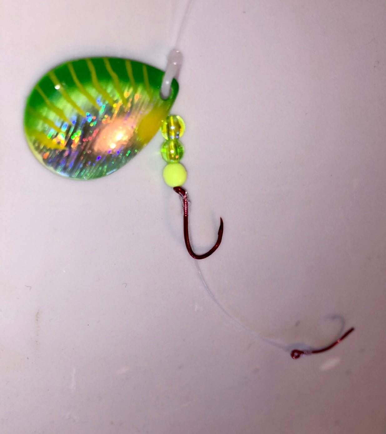 Holographic/Green Perch