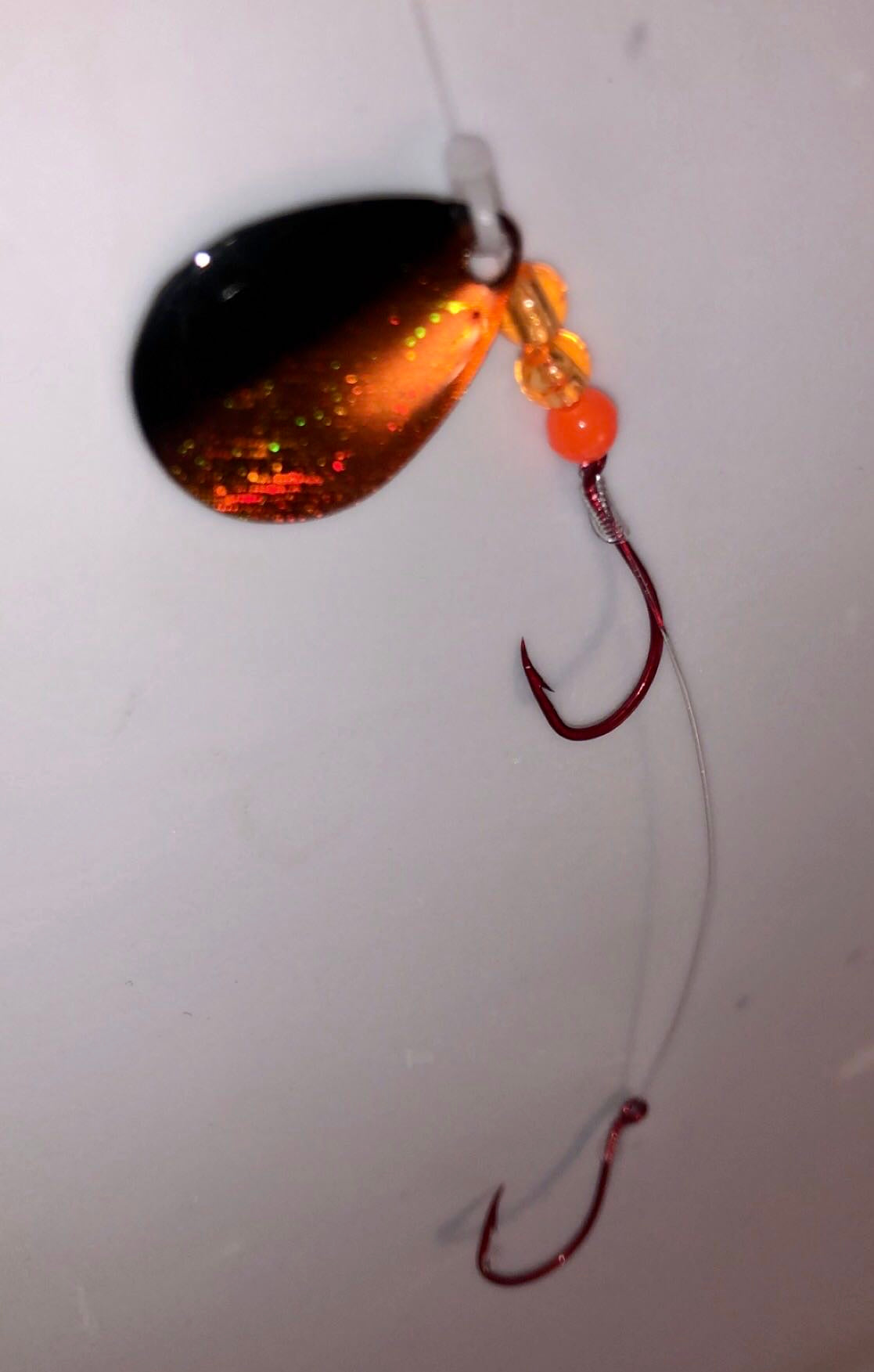 #3 Colorado Holographic/Burnt Orange