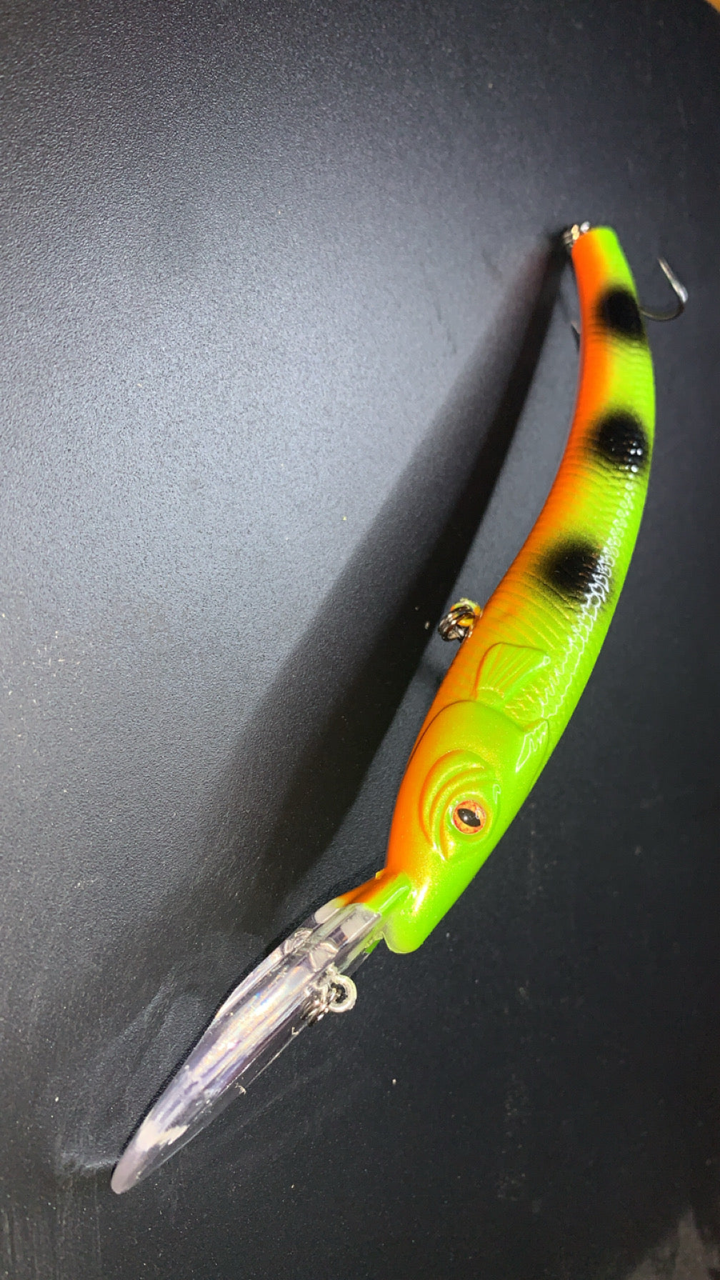 Reef Runner/Perch #2