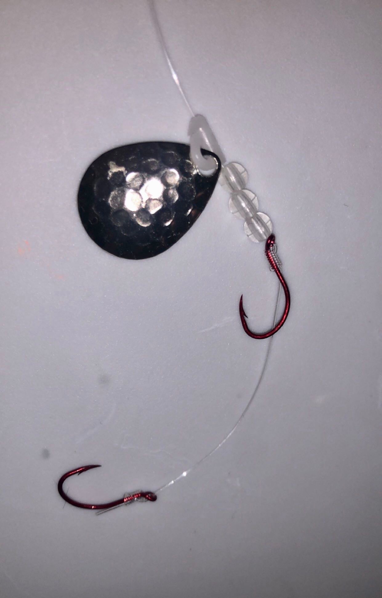 #3 Colorado/Hammered Silver