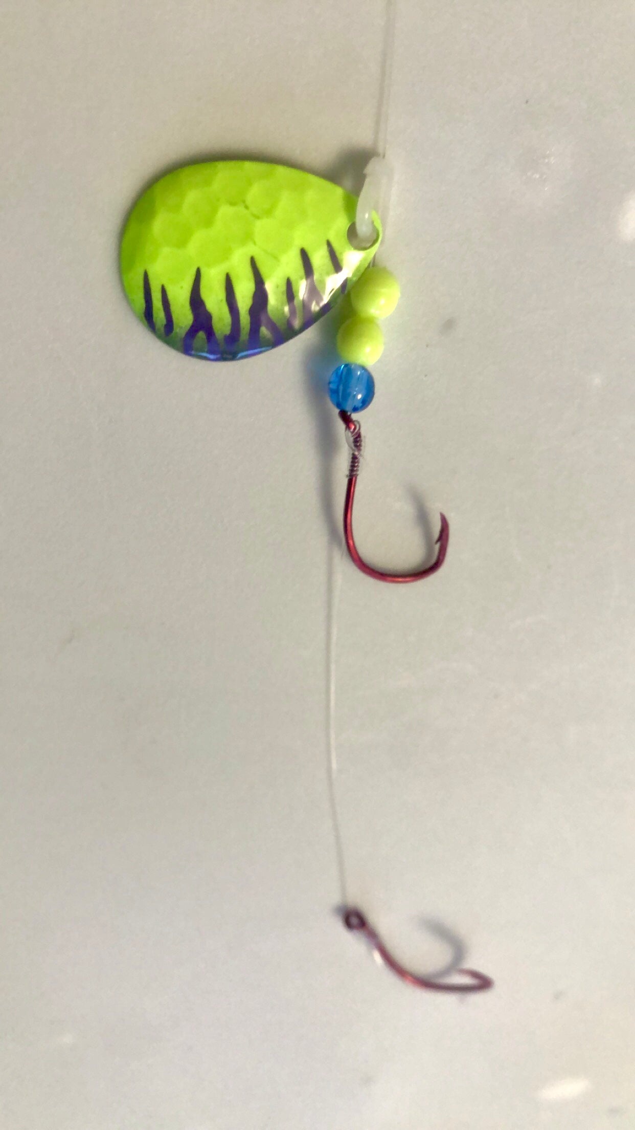 #3 Colorado/Chartreuse Tiger