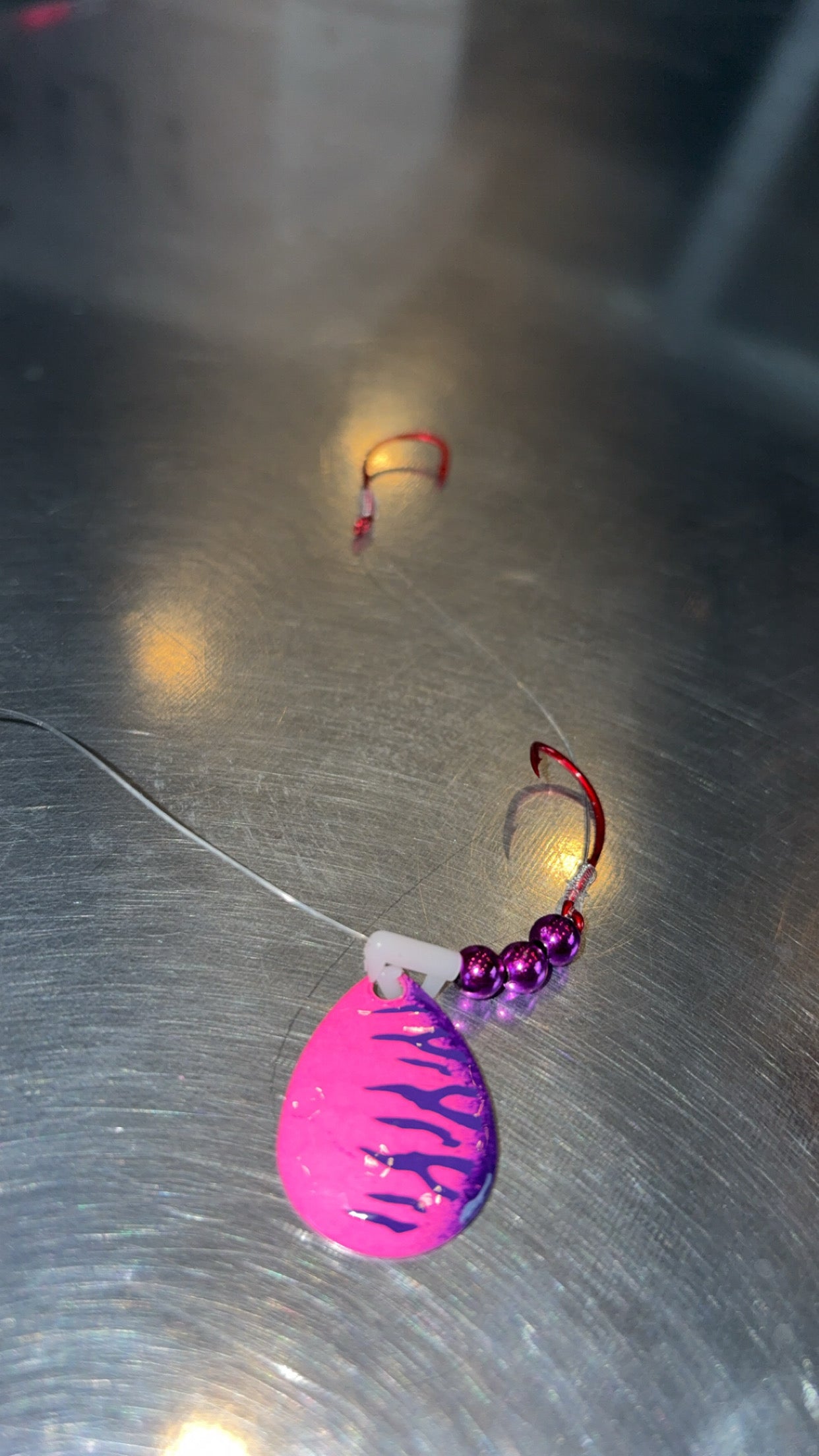 #3 Colorado/Purple Tiger