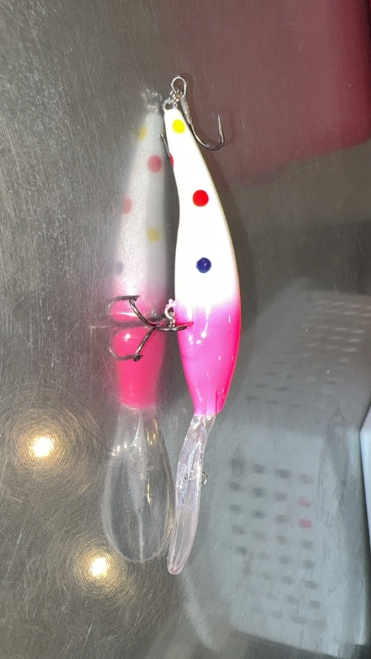 Taildancer/Polka Dot