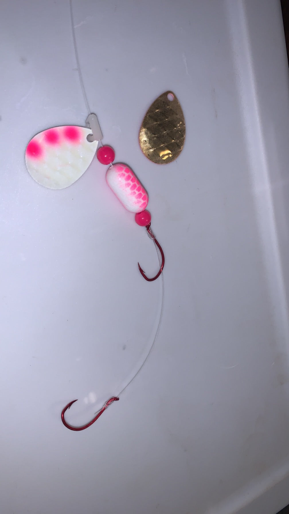 #3 Colorado Painted Back/White-Pink