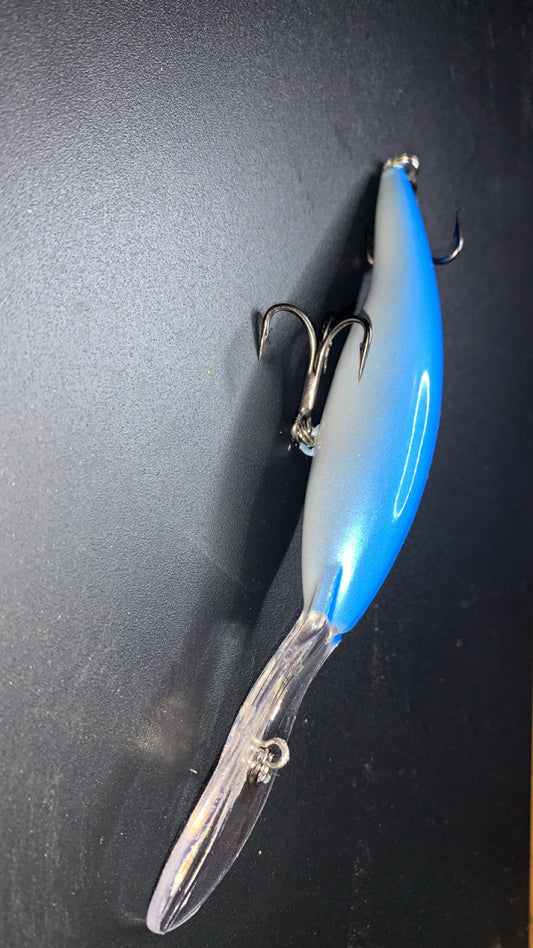 Taildancer/Blue Shiner