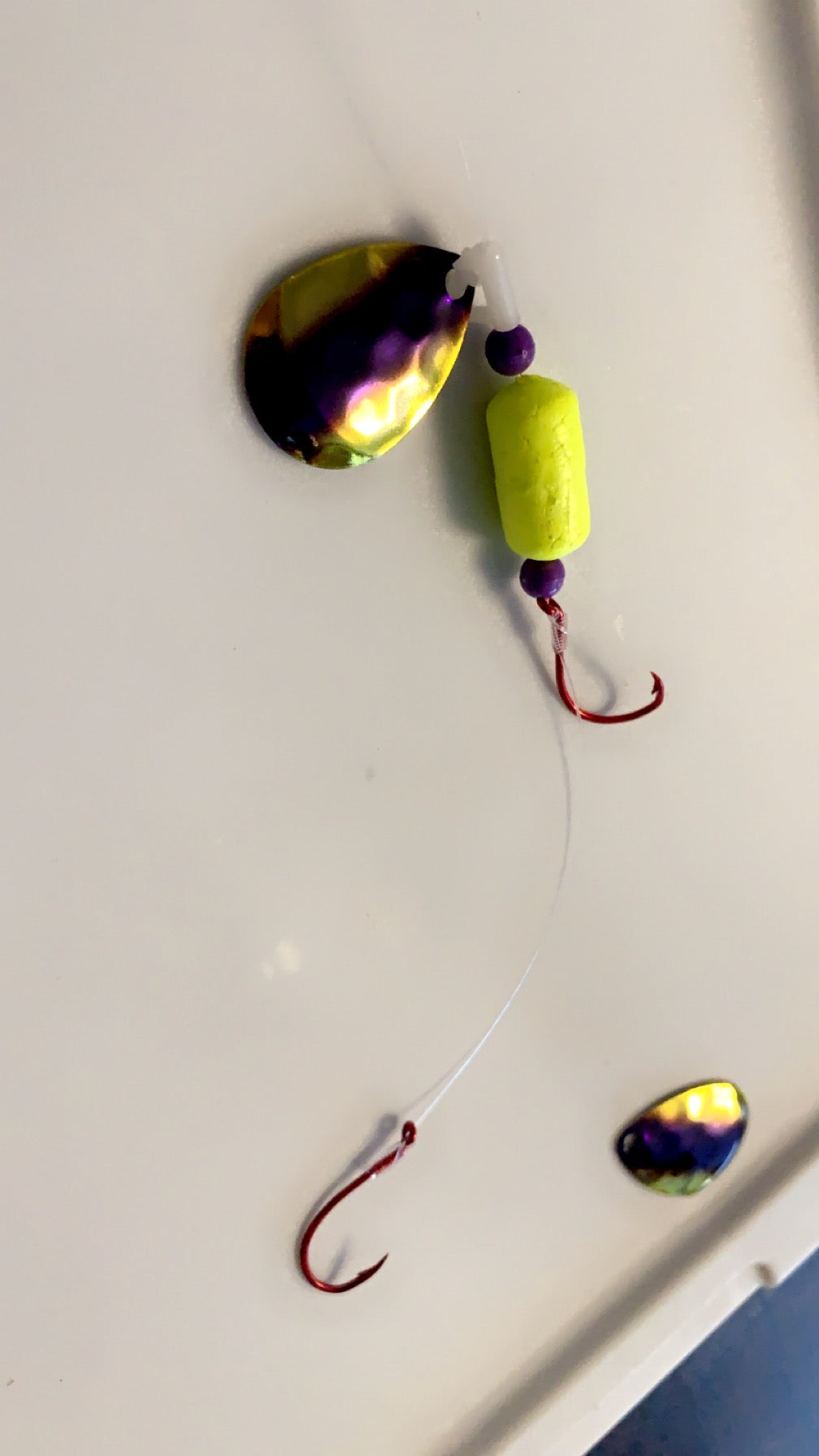 #3 Colorado Custom/Purple Chartruese