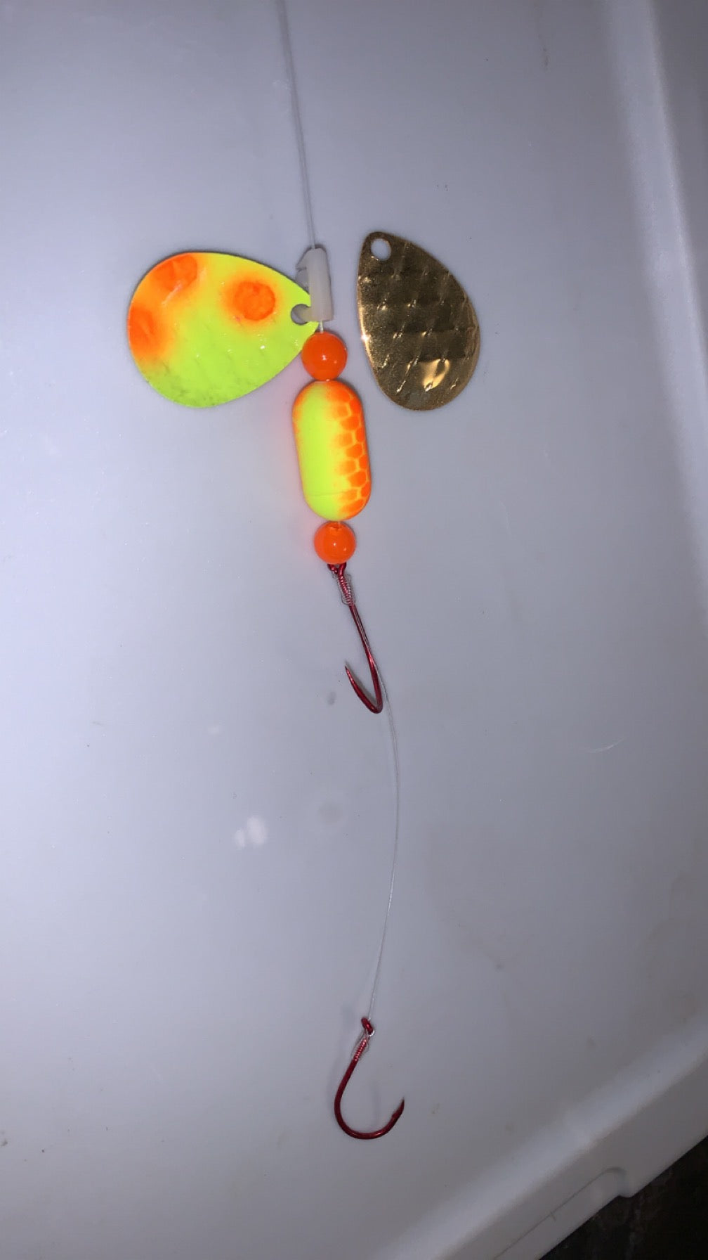 #3 Colorado Painted Back/Yellow-Orange