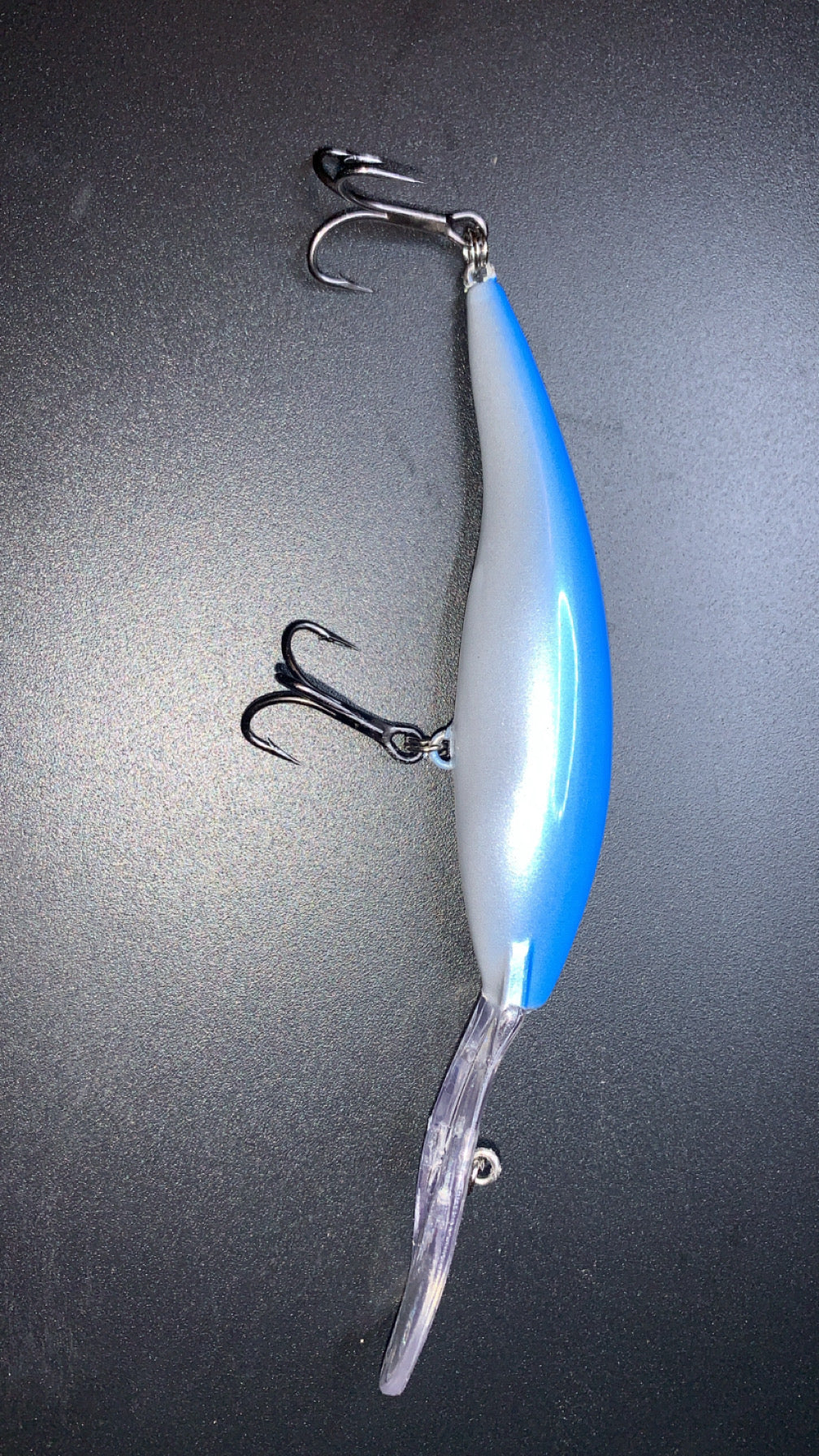 Taildancer/Blue Shiner