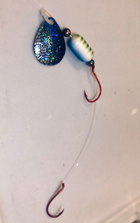 #3 Colorado/Blue Silver Hex