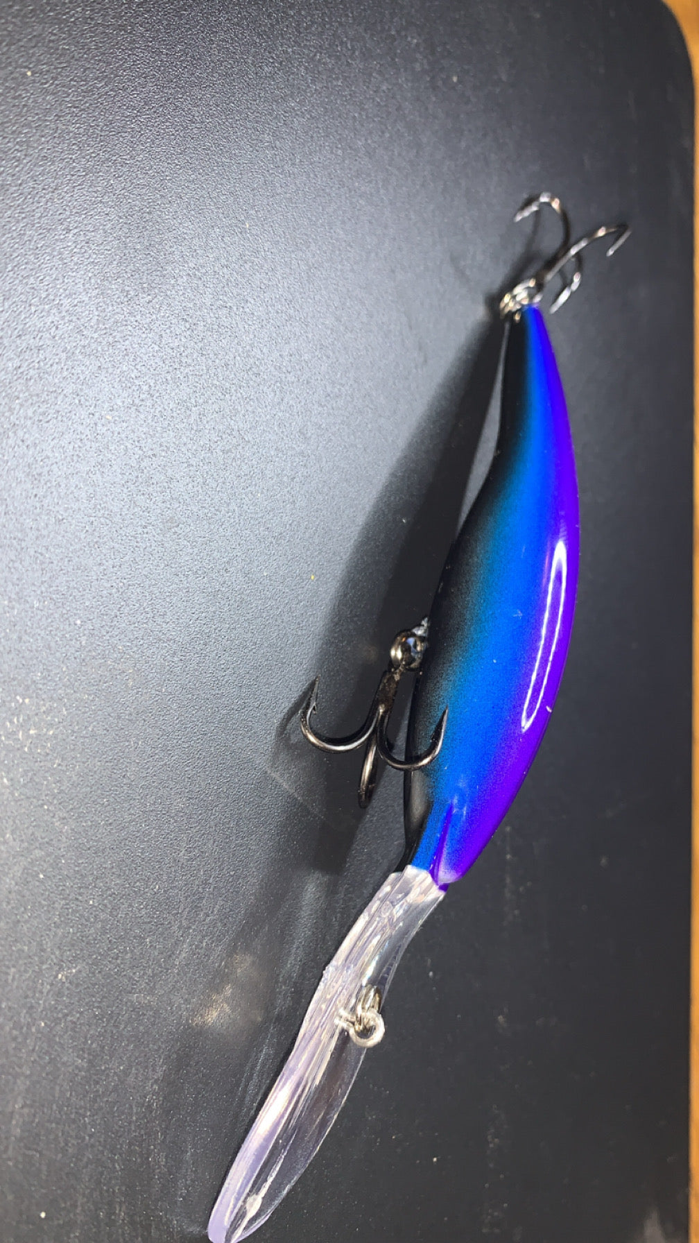 Taildancer/Gummybear