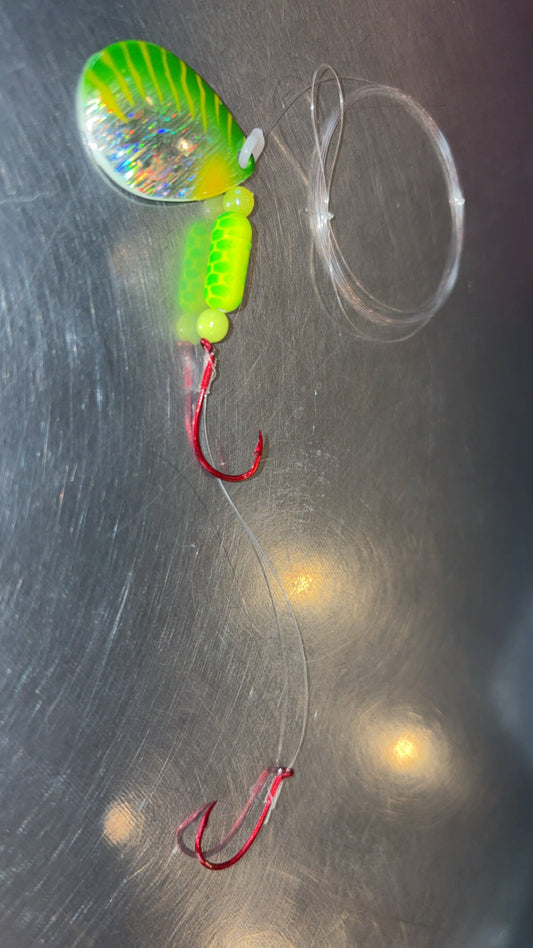 Holographic/Green Perch