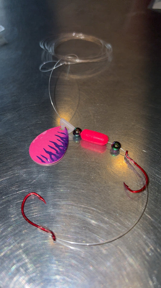 #3 Colorado/Purple Tiger