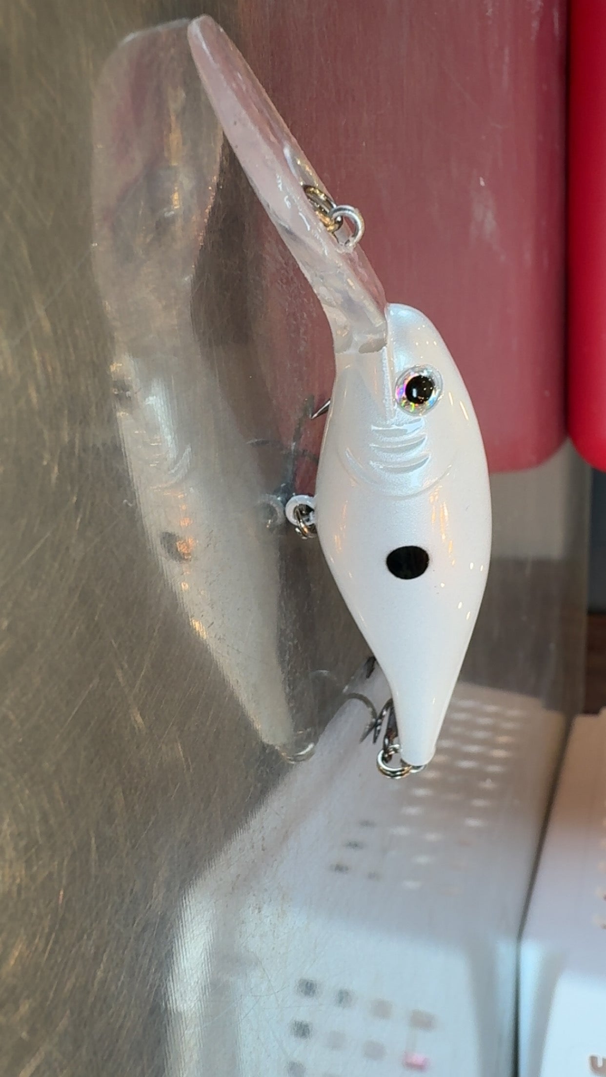 Flicker Shad/Gizzard Shad