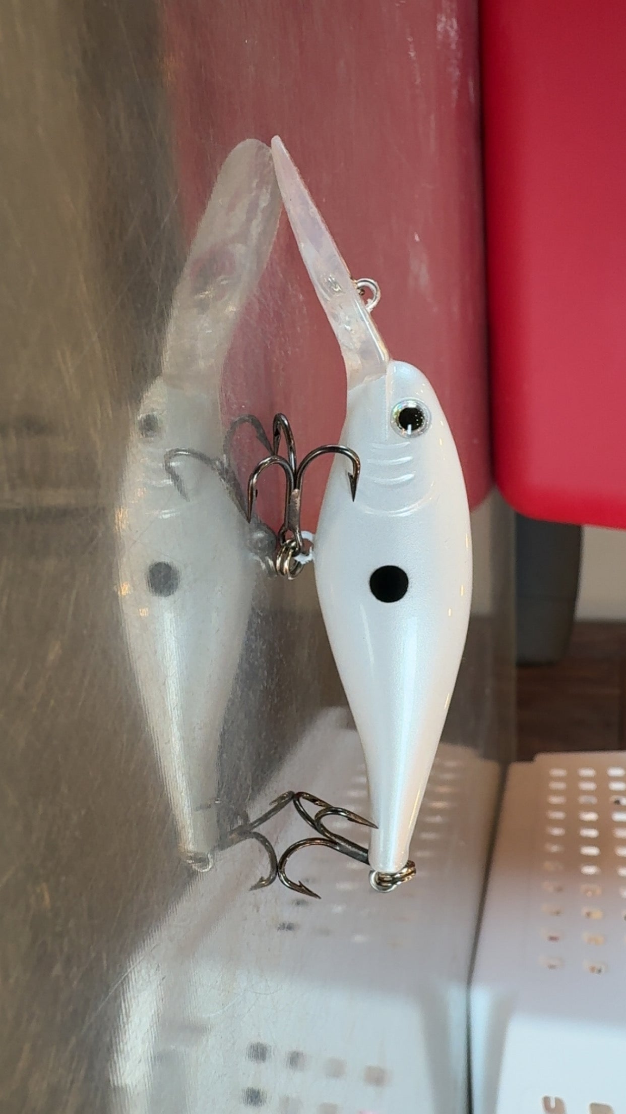 Flicker Shad/Gizzard Shad