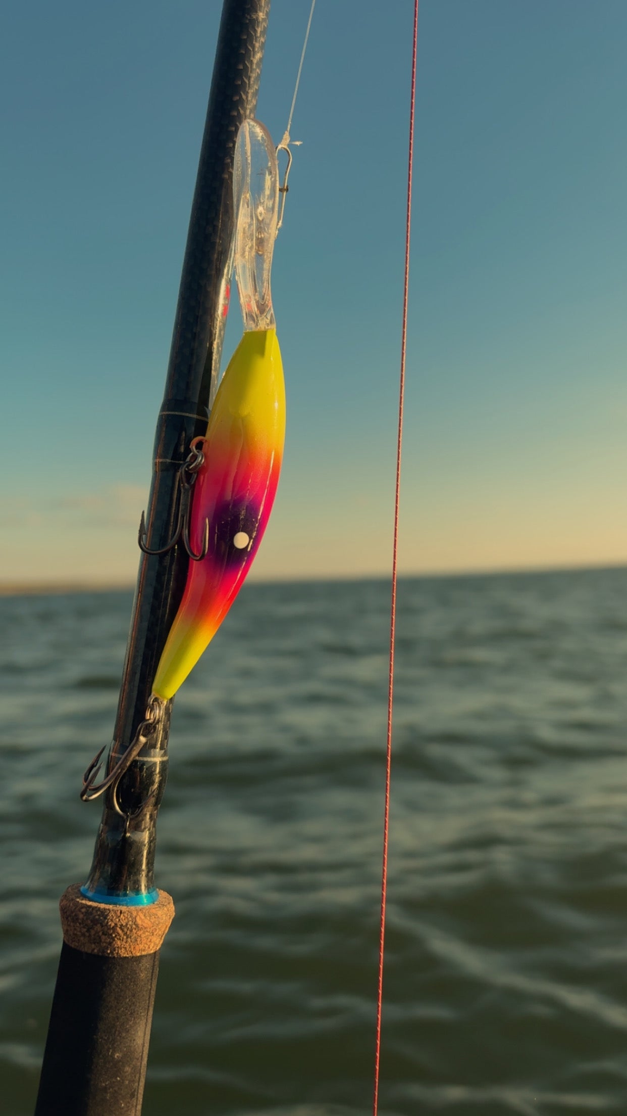 Taildancer/Psycho Cisco